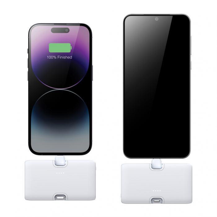 Powerbank 5000 mAh 20W PD dual output, Urban Vitamin Los Angeles [6]