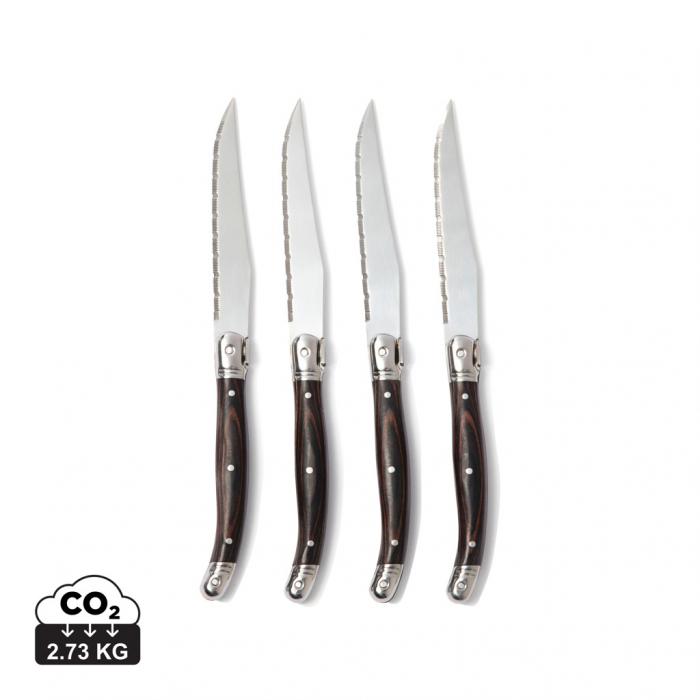 Set cutite carne inox 4 piese, Vinga Gigaro [1]