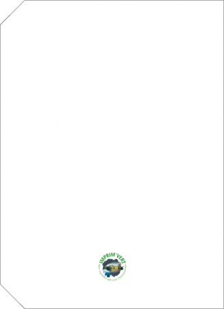 Agenda Ego Linea [3]