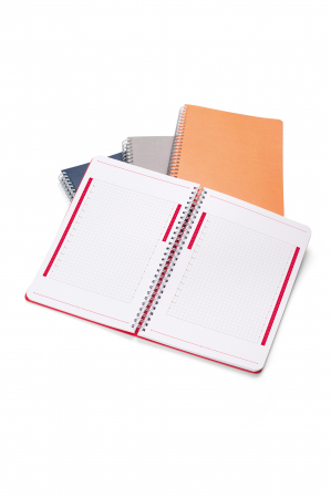 Agende personalizabile - P-RG-DR11.jpg