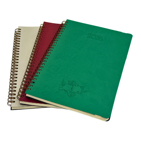 Agenda Duplex – dictando + matematica, productie proprie in Unitate Protejata [7]