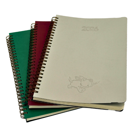 Promotii si reduceri - Agenda Duplex – dictando + matematica, productie proprie in Unitate Protejata