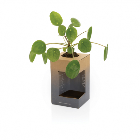 Avira Alya RCS Re-steel Tumbler 300ml – Pahar termo eco din otel reciclat [16]