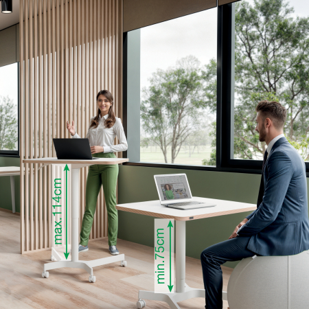Birou Ergonomic Leitz Ergo – Pneumatic, Ajustabil pe Inaltime, Alb [2]