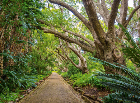 Calendar gradini 2024 [4]