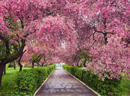 Calendar gradini 2024 [7]