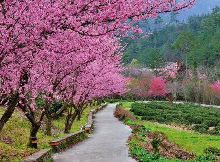 Calendar gradini 2024 [9]