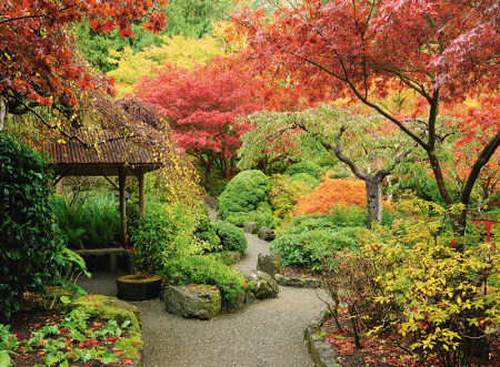 Calendar gradini 2024 [3]