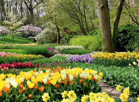 Calendar gradini 2024 [8]