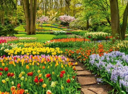 Calendar gradini 2024 [2]