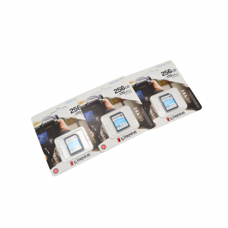 Card de Memorie SD Kingston Canvas GO Plus, 256GB, Class 10 [2]