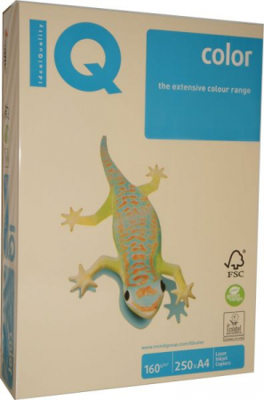Hartie si articole din hartie - Carton A4 160g IQ galben intens