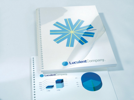 Masini de legat, indosariat si accesorii - Coperta legare documente GBC, PVC, A4, 150 mic, 100 buc/set, transparent