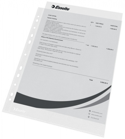 Dosare, folii protectie si mape - Folie protectie Esselte 40mic 25buc
