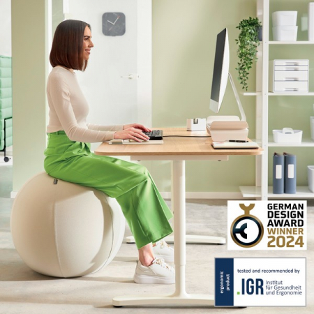 Scaune si produse ergonomice - Minge ergonomica Leitz Ergo, pentru sezut sau fitness, cu functie de oprire, 65 cm