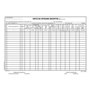 Tipografie si stampile - Nota intrare receptie 11 coloane, A4, 50 seturi 2 ex, autocopiativ