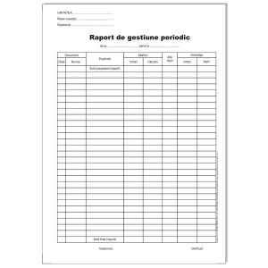 Tipografie si stampile - Raport de gestiune zilnic A4, 100 file, print fata