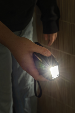 Radio de urgenta cu panou solar si lanterna RescueWave RCS [7]