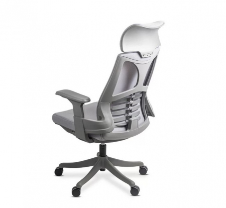 Scaun de birou ergonomic din mesh, cu tetiera si suport lombar [2]