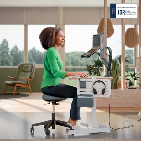 Scaun ergonomic Leitz Ergo cu roți, șezut tip șa, DSM 360°, spumă DDF Dual Density [10]