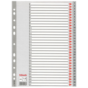 Bibliorafturi, caiete mecanice, separatoare - Separatoare Esselte plastic 1-31