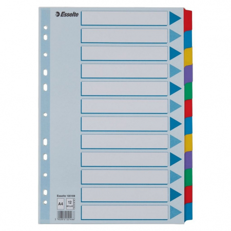 Bibliorafturi, caiete mecanice, separatoare - Separator din carton Esselte A4, 12 taste