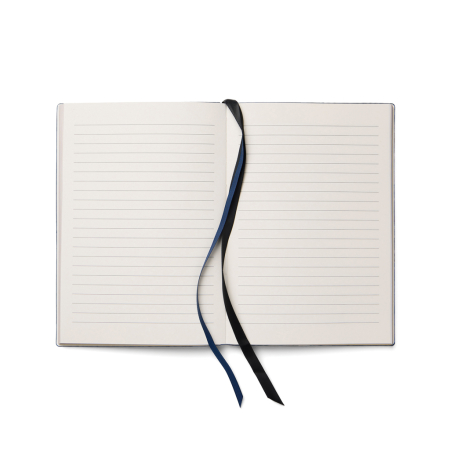 Set de scris VINGA Arlo RCS, agenda A5 si pix, detalii aurii, cutie cadou [4]