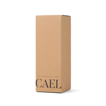 Sticla termoizolanta VINGA Cael RCS 600 ml, pai integrat, otel inoxidabil reciclat [12]
