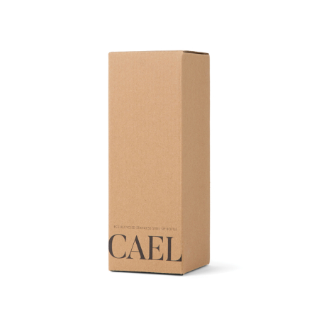 Sticla termoizolanta VINGA Cael RCS 600 ml, pai integrat, otel inoxidabil reciclat [11]