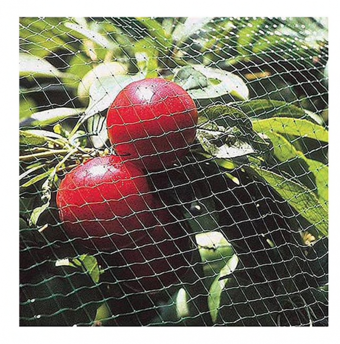 Plasa pvc contra pasarilor, verde inchis, 2x5 m [3]