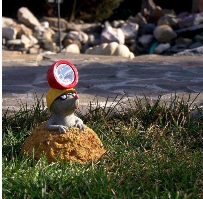 Decoratiune gradina, polirasina, lampa solara, cartita, 13x13x17 cm [6]