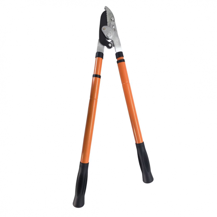 Foarfeca telescopica pentru pomi, crengi Strend Pro Cut38 KT3812A, 636-970 mm, CrV [3]