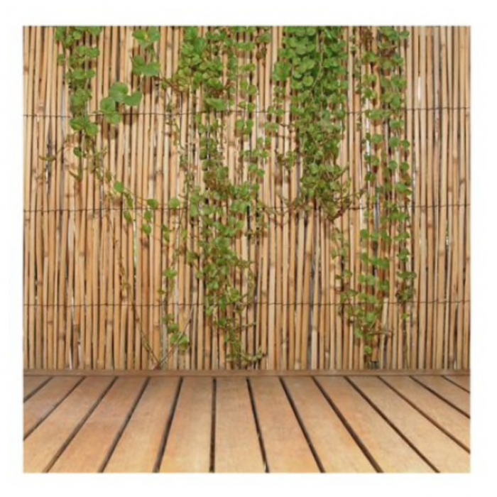 Gard, paravan din bambus natural 1,5x5 m [4]