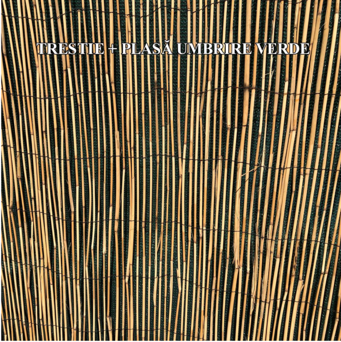 Gard/paravan din trestie, 5x1 m [6]