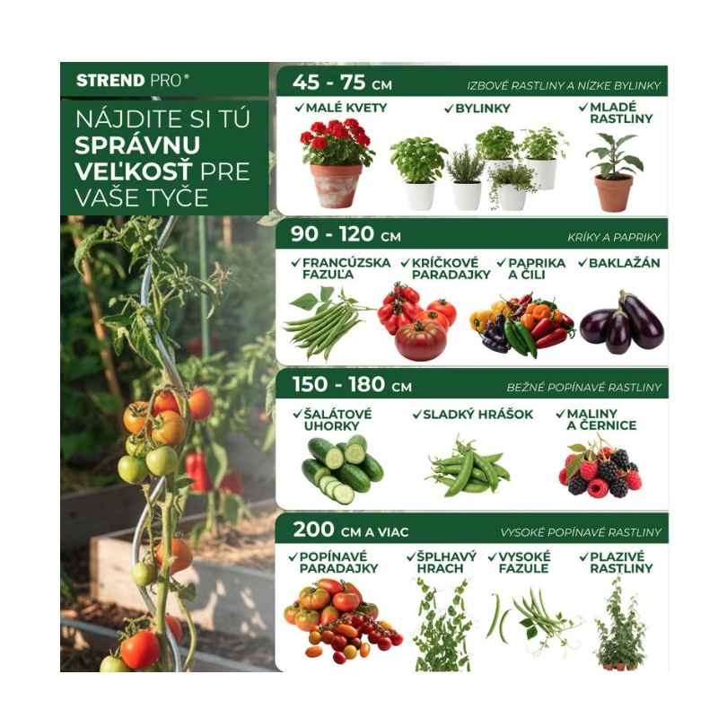 Set 10 araci bambus Garden KBT, 900 mm, pentru plante și roșii [3]