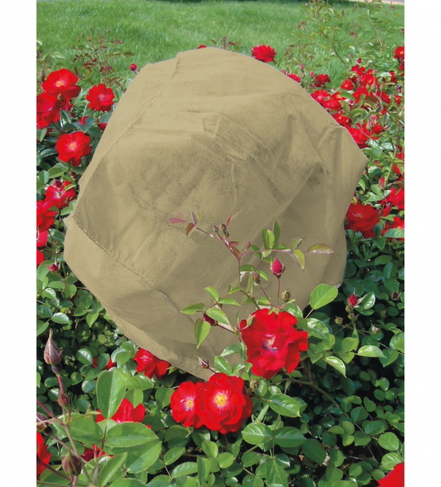 Set 3 protectii pentru plante, Strend Pro, Bej, netesut, 80x75 cm, contra inghetului si a grindinei [2]