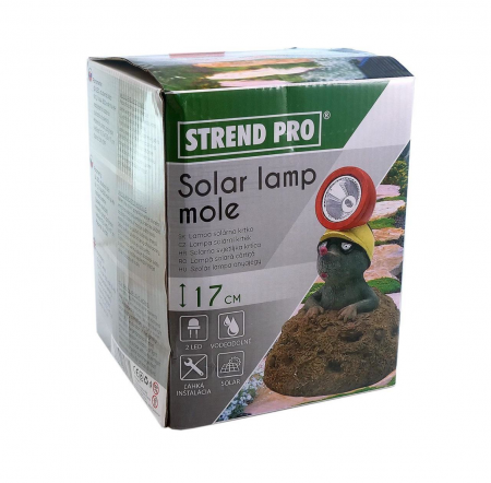 Decoratiune gradina, polirasina, lampa solara, cartita, 13x13x17 cm [1]