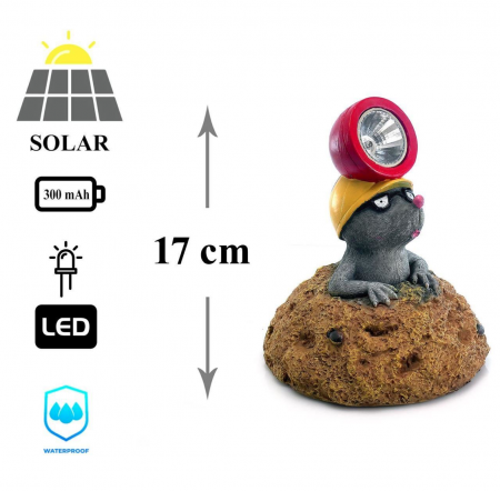 Decoratiune gradina, polirasina, lampa solara, cartita, 13x13x17 cm [3]