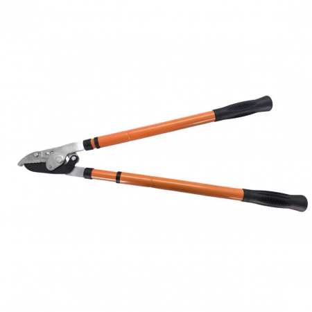 Unelte gradinarit - Foarfeca telescopica pentru pomi, crengi Strend Pro Cut38 KT3812A, 636-970 mm, CrV
