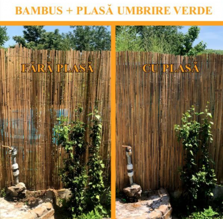 Gard/paravan din bambus natural, 5x1 m [2]