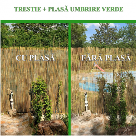 Gard/paravan din trestie, 5x1 m [4]