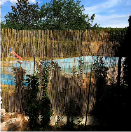 Gard/paravan din trestie, 5x1 m [3]