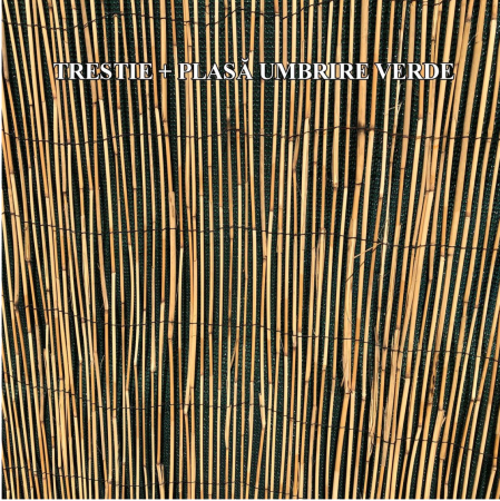 Gard/paravan din trestie, 5x1 m [5]