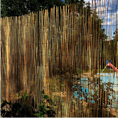 Gard/paravan din trestie, 5x1 m [2]