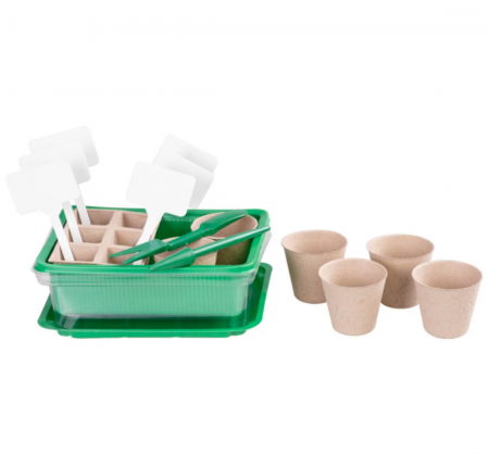 Sere si solarii - Set tava de rasaduri cu capac, 6 alveole individuale, 1 alveola cu 6 locuri, unelte de gradinarit si 6 etichete cu picior, Strend Pro, 20x14, 5x6 cm