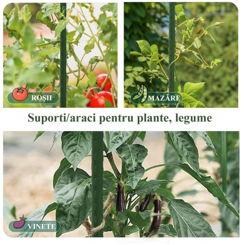 Suport/arac pentru plante, rosii, metal + PVC, verde, 1.6x120 cm, Strend Pro [1]