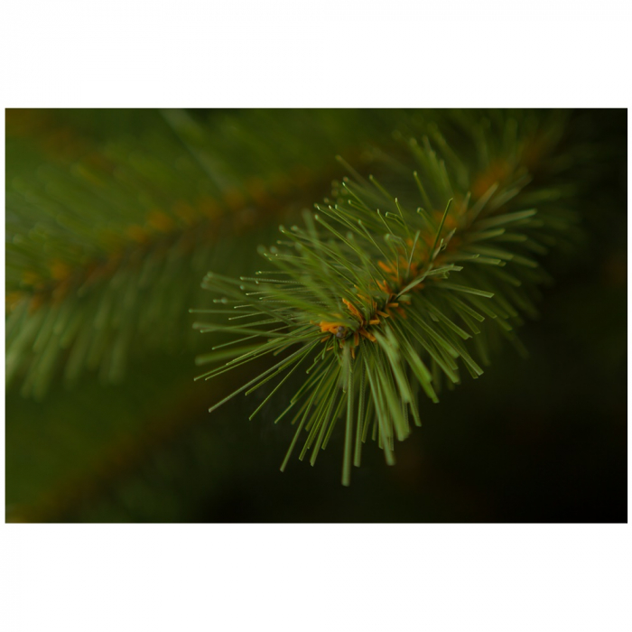 Brad artificial Caucazian Spruce, PVC, 250 cm, verde - BraziPremium.ro [4]