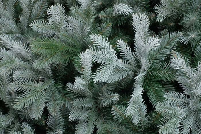 Brad artificial cu aspect inghetat Frosted Mulberry, PE, 183 cm - BraziPremium.ro [2]