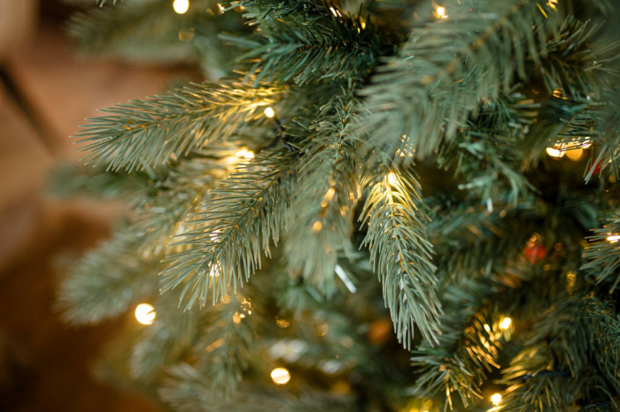 Brad artificial cu lumini North Star, 650 LED, 240 cm - BraziPremium.ro [3]