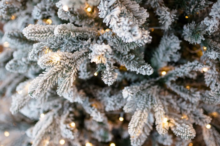 Brad artificial cu zapada si leduri Flocked Princess Pine, 200 led-uri, 210 cm - BraziPremium.ro [5]